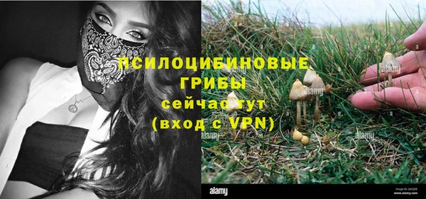 твердый Алзамай