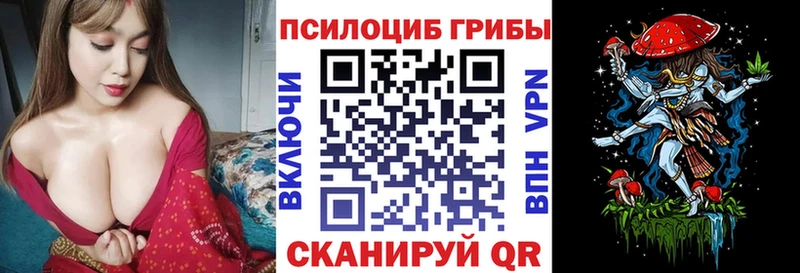 Галлюциногенные грибы Psilocybine cubensis Боровичи
