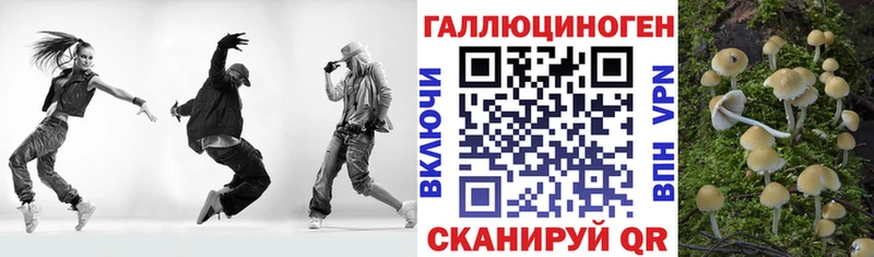 Галлюциногенные грибы прущие грибы  kraken как зайти  Боровичи 